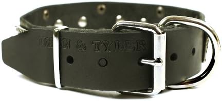 Dean i Tyler Thor, kožni ogrlica za pse s mesinganim pločama i niknim klinovima-crna-veličina 36 inča do 1-1/2 inča-odgovara vratu