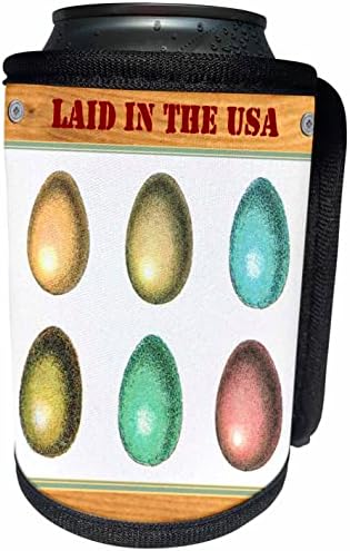 3Drose položeno u SAD - slika smiješnih pilećih jaja - jaje. - Omota za hladnjak za hladnjak