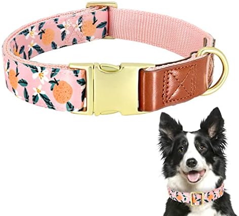 Tdtok cvjetni osnovni ogrlica za pse, mekane i udobne ogrlice za pse s vrhunskom metalnom kopčom, teškim podesivim stilskim stilskim