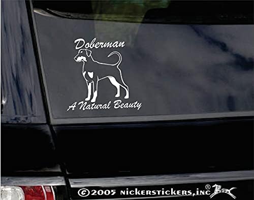Doberman, prirodna ljepota | Nickerickers® vinil dugi rep Doberman Pinscher naljepnica za prozor za pse
