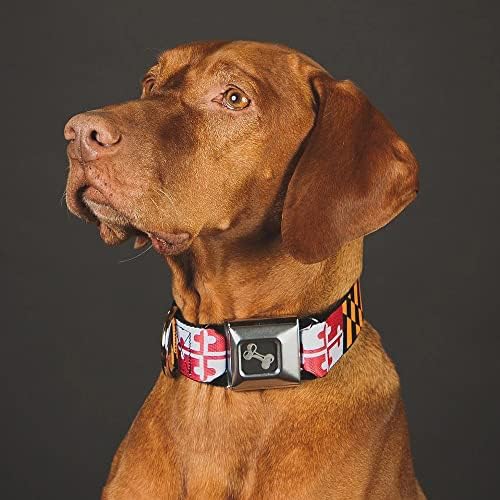 Ovratnik za pseće ogrlice sa pasama za ogrlicu za zastave Marylanda Marylanda 11 do 17 inča široka 1,0 inča